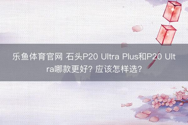 乐鱼体育官网 石头P20 Ultra Plus和P20 Ultra哪款更好? 应该怎样选?